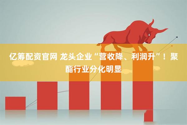 亿筹配资官网 龙头企业“营收降、利润升”!聚酯行业分化明显